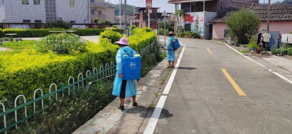 南安市码头镇开展灾后统一消杀工作