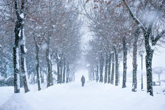 雪,道路泥泞,景象苍凉,一名衣衫破旧的老兵独自行走在回返故乡的路上