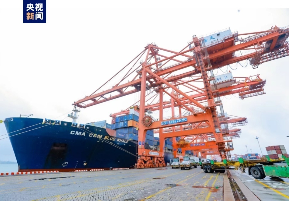 以"海丝"牵"陆丝"!"丝路海运"开启海合会国家多式联运通道