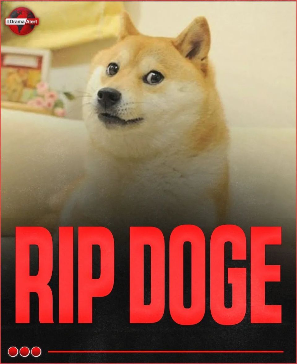 doge表情包柴犬去世:也是狗狗币原型