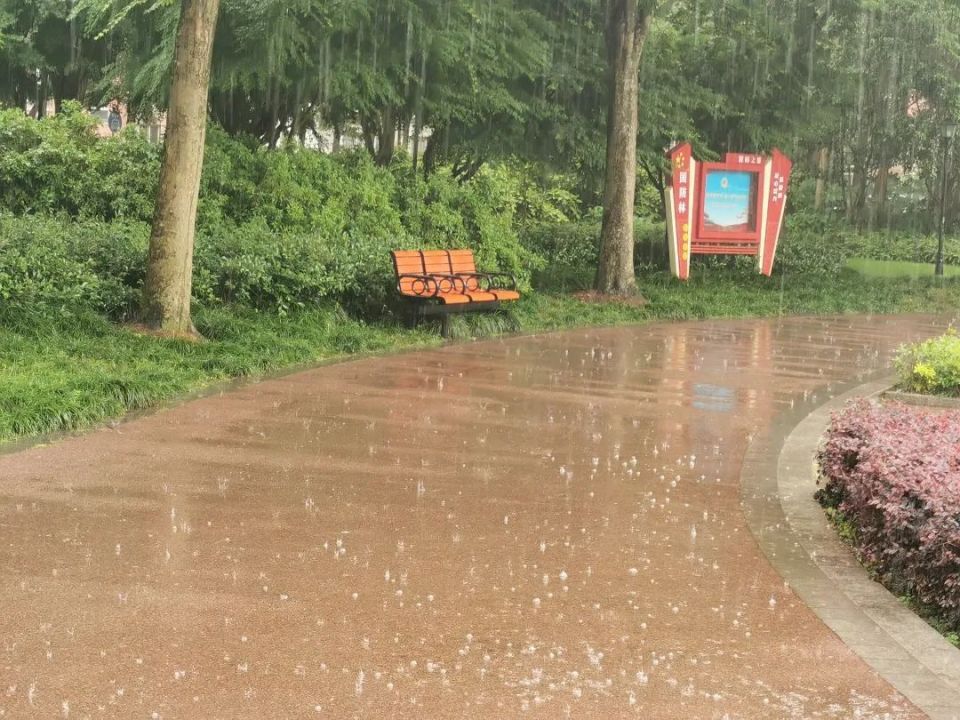 九点半左右,突降倾盆大雨,雷声阵阵,东礁公园里,原本在外锻炼,遛娃的