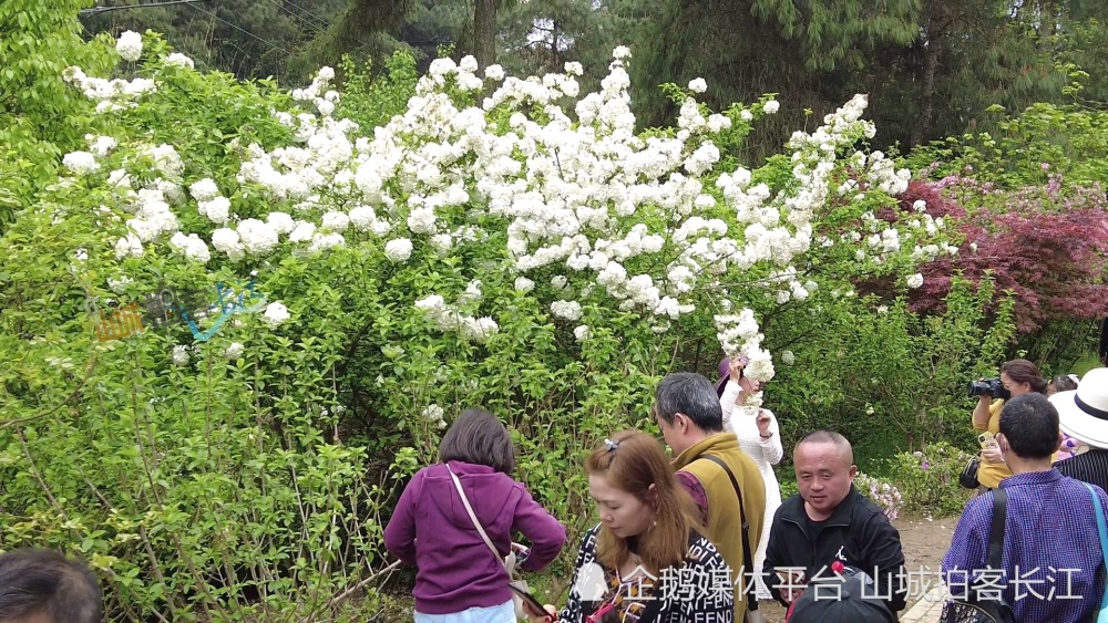 免费"雪球"打卡地全攻略,美到窒息!_腾讯新闻