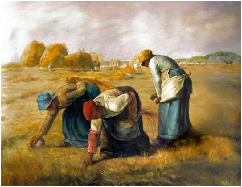 米勒:拾麦穗的女人《拾穗者》西方绘画史上有好几幅以拾麦穗的女人为