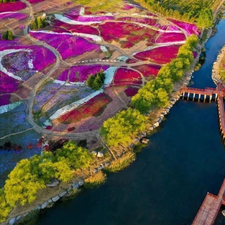 2023第十九届威海(文登)昆嵛山樱桃文化节开幕-腾讯新闻