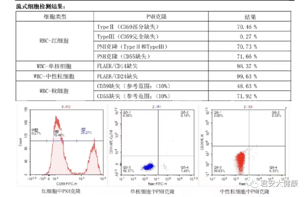 (3)血清鐵代謝指標的檢測:血清鐵濃度,總鐵結合力,血清鐵蛋白水平.