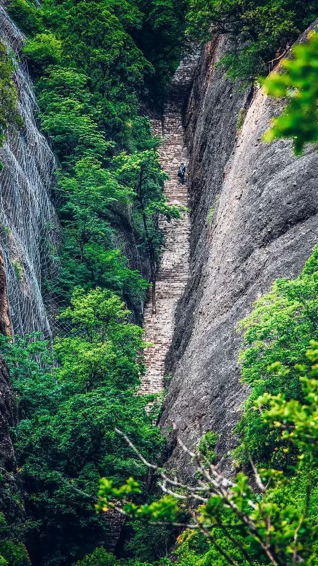 铜川照金旅游景点图片