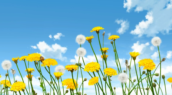 略显遗憾的夏日之旅《蜡笔小新 煤炭镇的小白》微评测