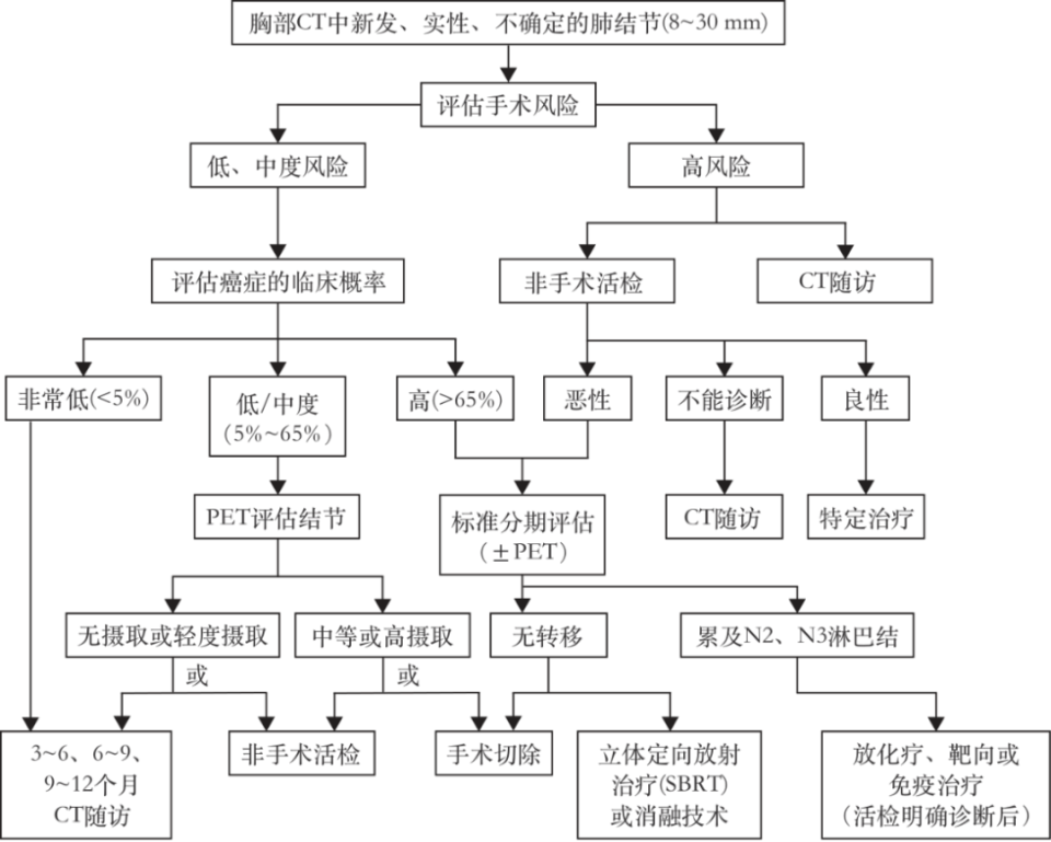 活检MM什么CT 发现 5 mm 肺结节，手术还是随访？2024 最新专家共识这样推荐_https://www.jmylbn.com_新闻资讯_第2张