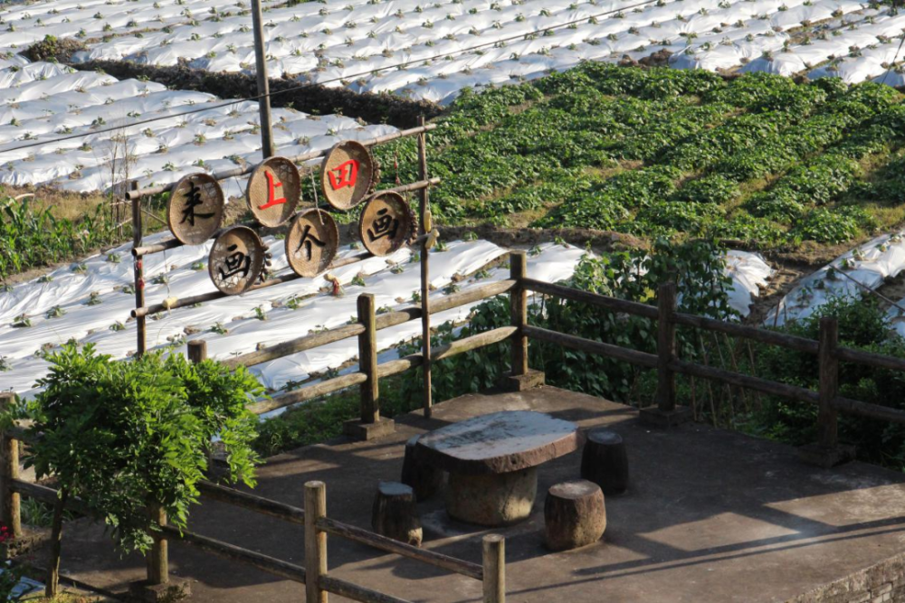 院地合作续写"山海情",铺就文旅共富路