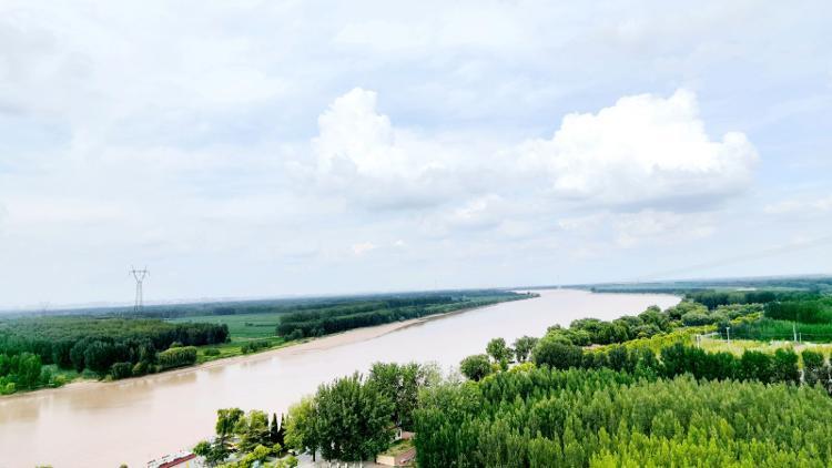 高青黄河风景区图片