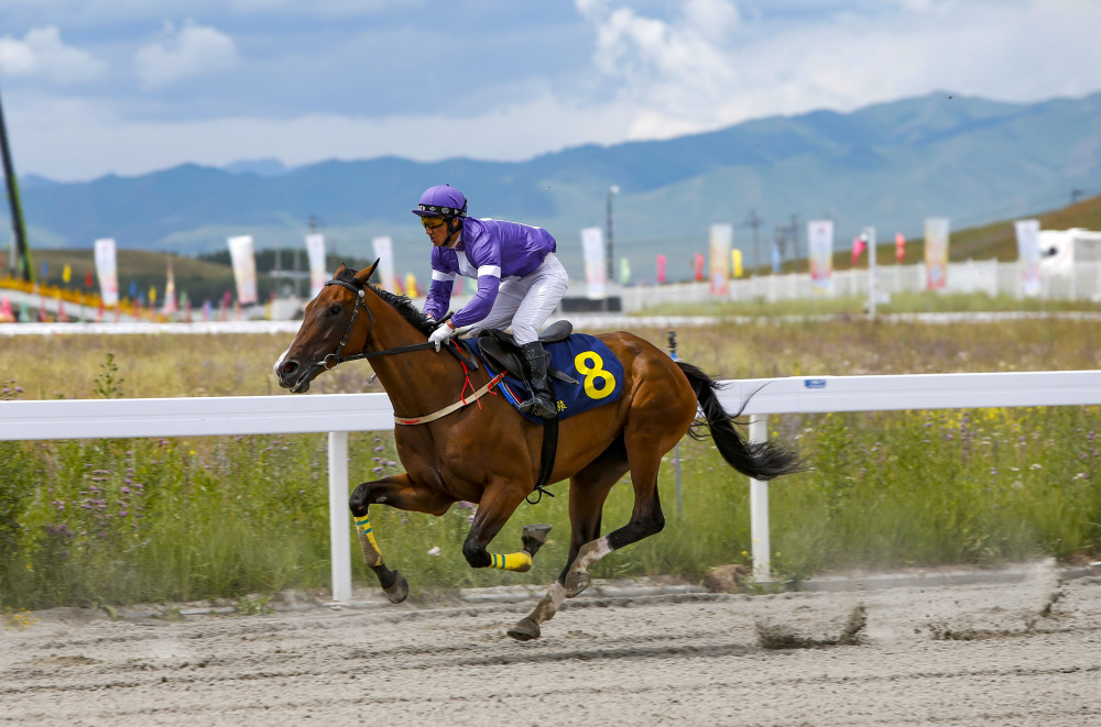 第十二届全国少数民族传统体育运动会民族赛马5000米赛况