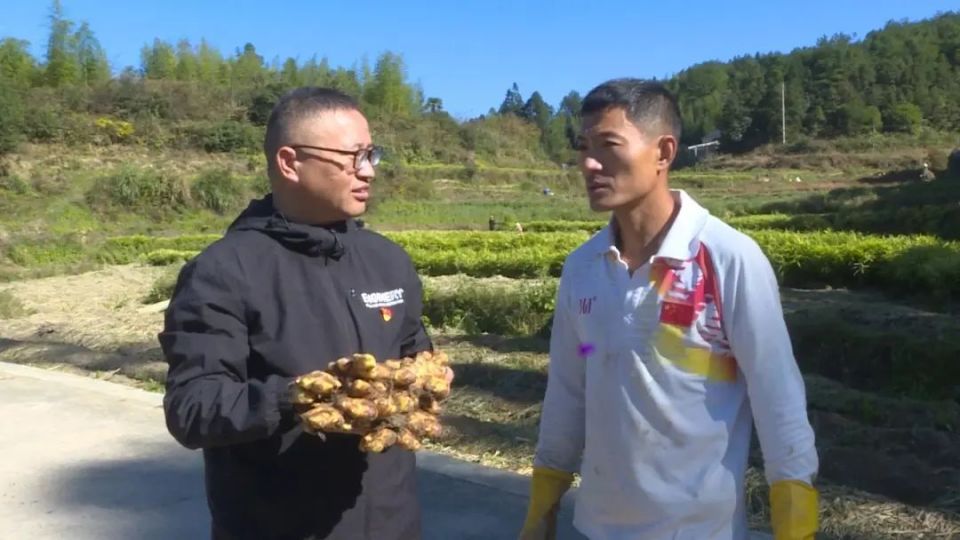 [南方生姜网-图片加载]
