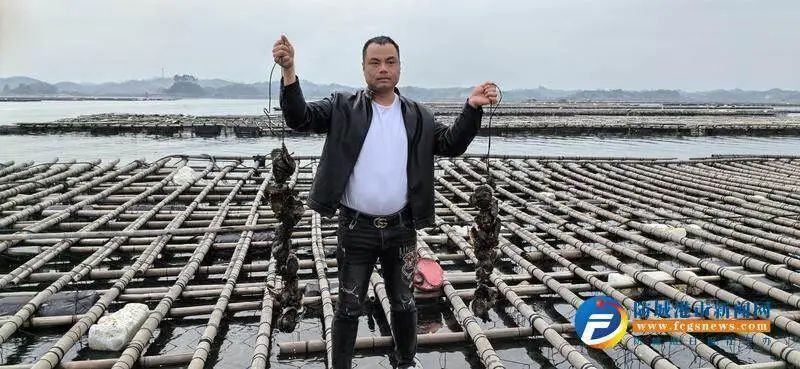 防城港√万亩蚝排"蚝"情满满 助力乡村振兴