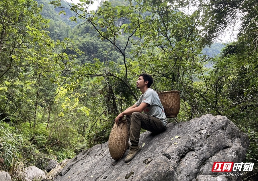 荒野之王加冕！张家界“七星山杯”极限挑战收官 杨东东独揽10万大奖_腾讯新闻