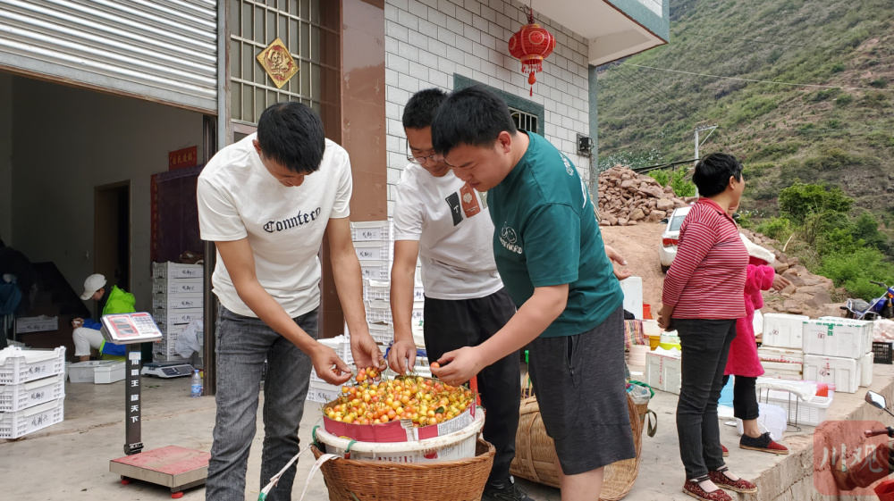 c視頻|漢源車釐子紅了 產銷兩旺果農笑迎豐收_騰訊新聞