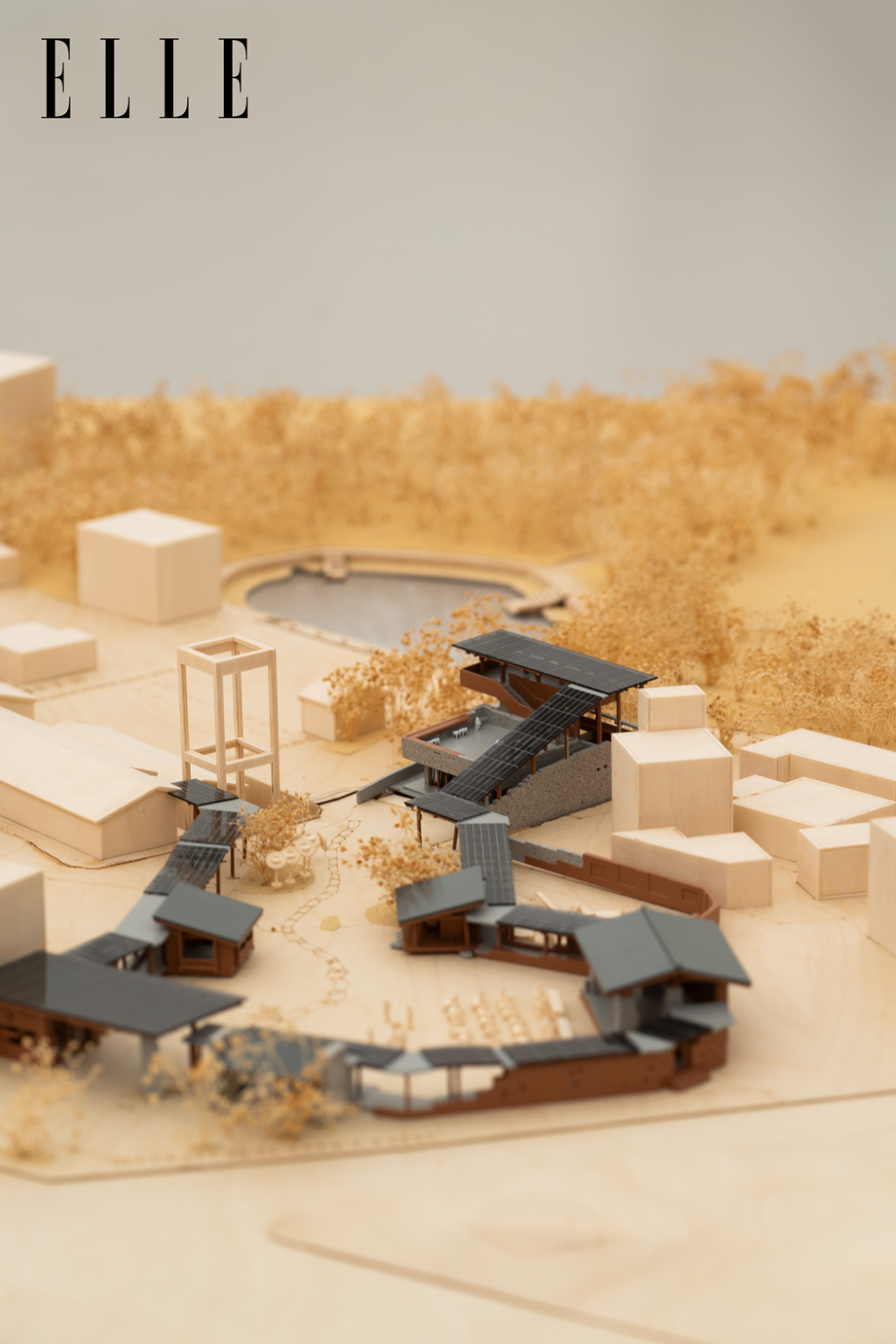 影之道:南方阴翳下的水与光