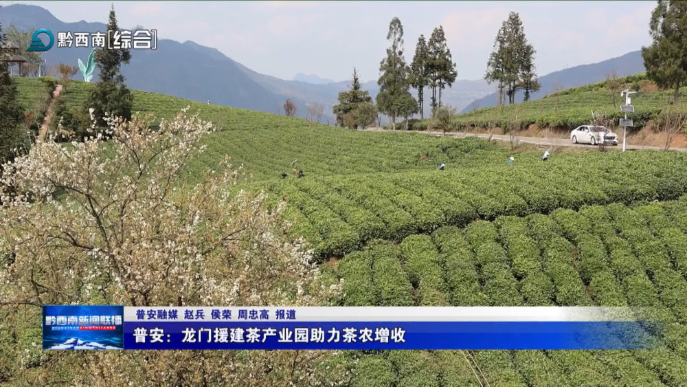 茶叶产业园建设的意义（茶叶产业园建设的意义是什么） 茶叶财产
园建立
的意义（茶叶财产
园建立
的意义是什么）《茶叶产业园实施方案》 茶叶资讯