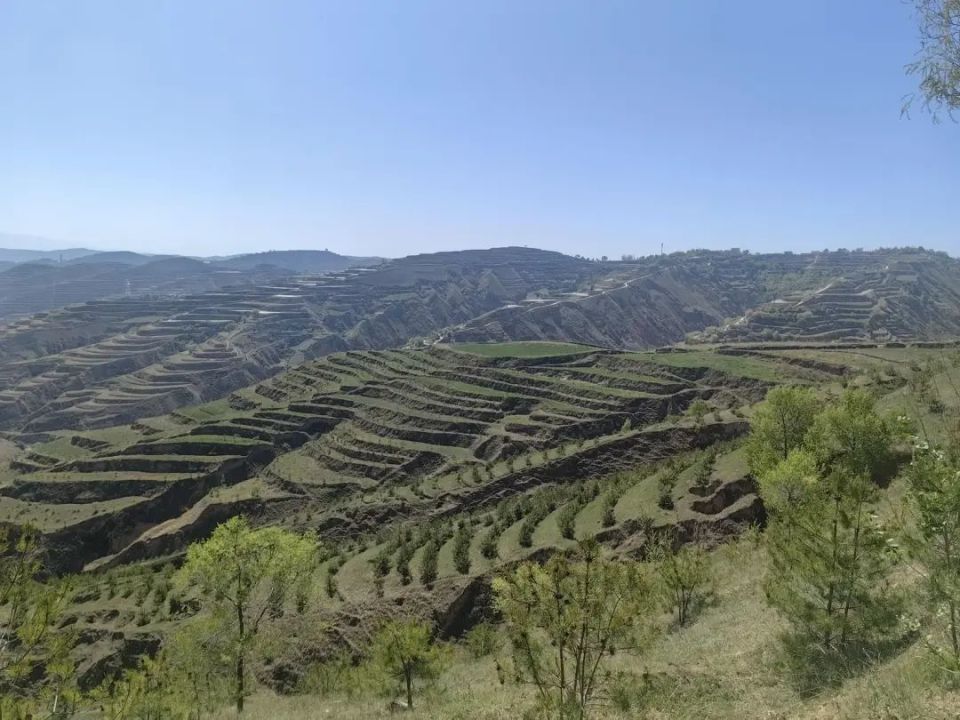 龙泉镇:以生态画笔绘出秀美家园