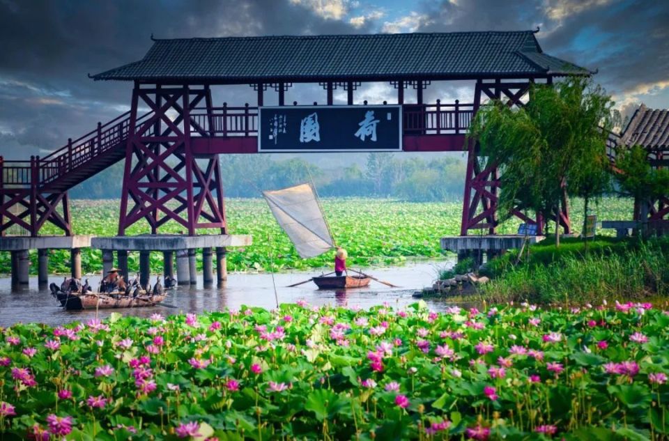 枣庄微山湖有哪些景点图片