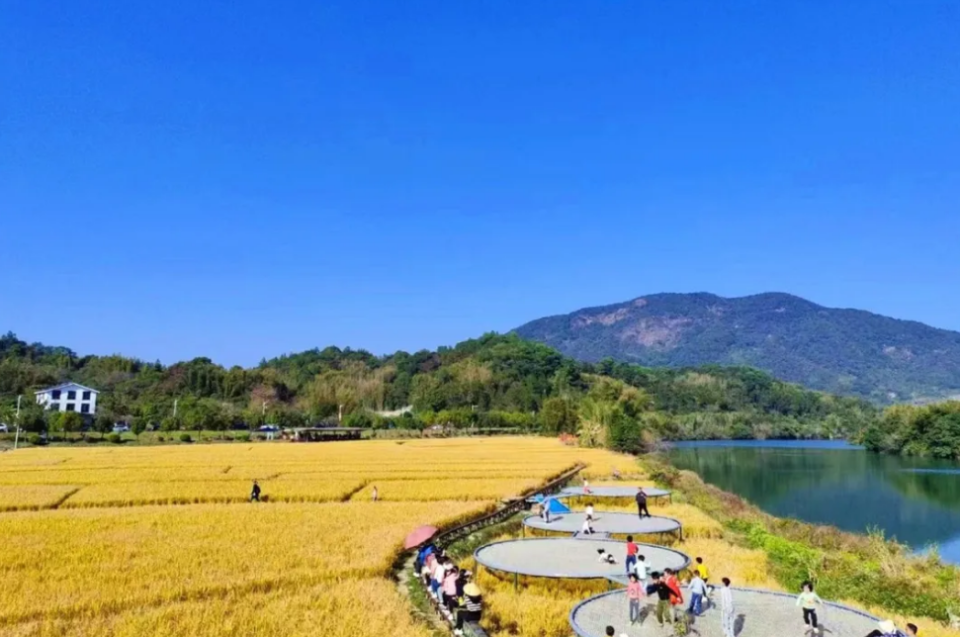 现在,这里是名声在外的民宿村,自然环境优美,村边有流溪河碧道米埗段