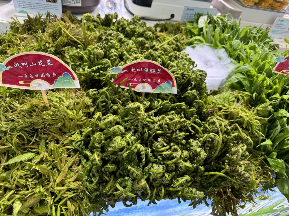 野菜产品怎么样(野菜销量怎么样?)