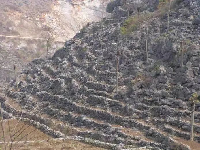 看石漠化治理的广西探索!