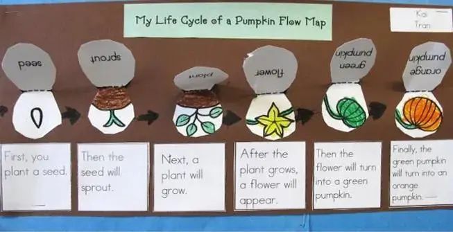 我用4张思维导图,成功帮女儿学会深度阅读!_腾讯新闻