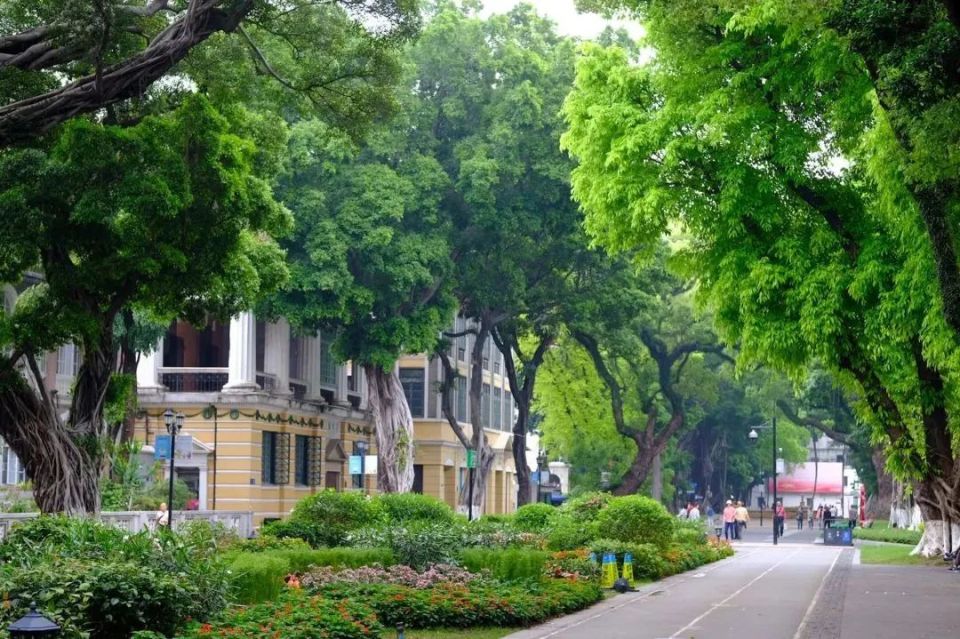 广州这几条路,太舒服了!