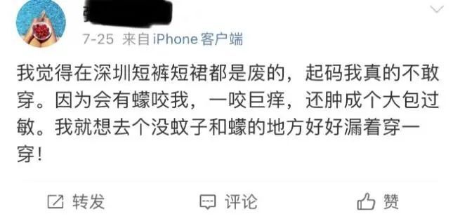 被蠓咬后又疼又痒还带小红点？这些关于蠓的知识你得知道