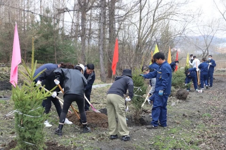 【4·20森工植树日】林区各地:共"植"新绿   同"树"未来