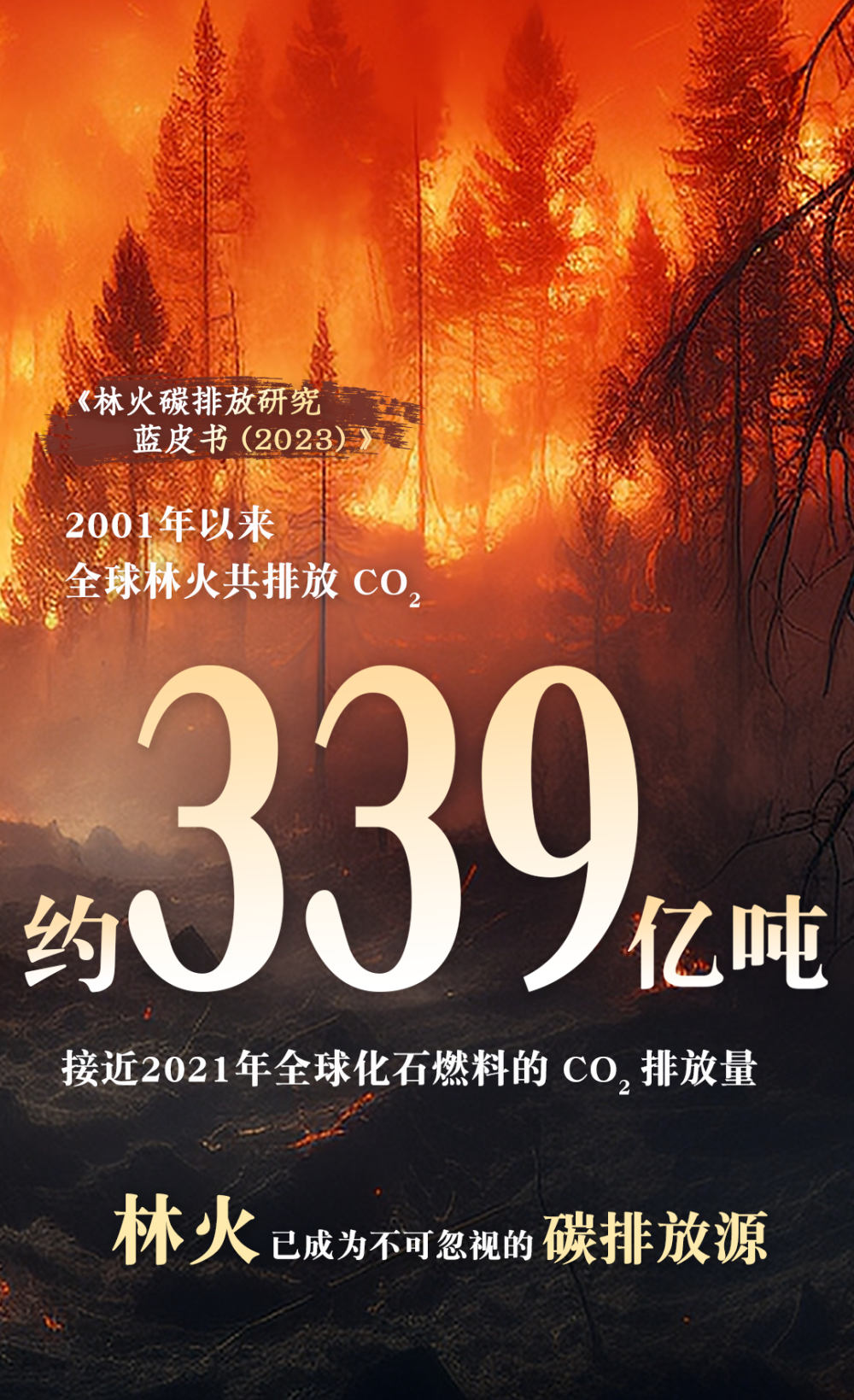 全球碳排放核算少了一块！中科院发布蓝皮书：建议将林火纳入_腾讯新闻