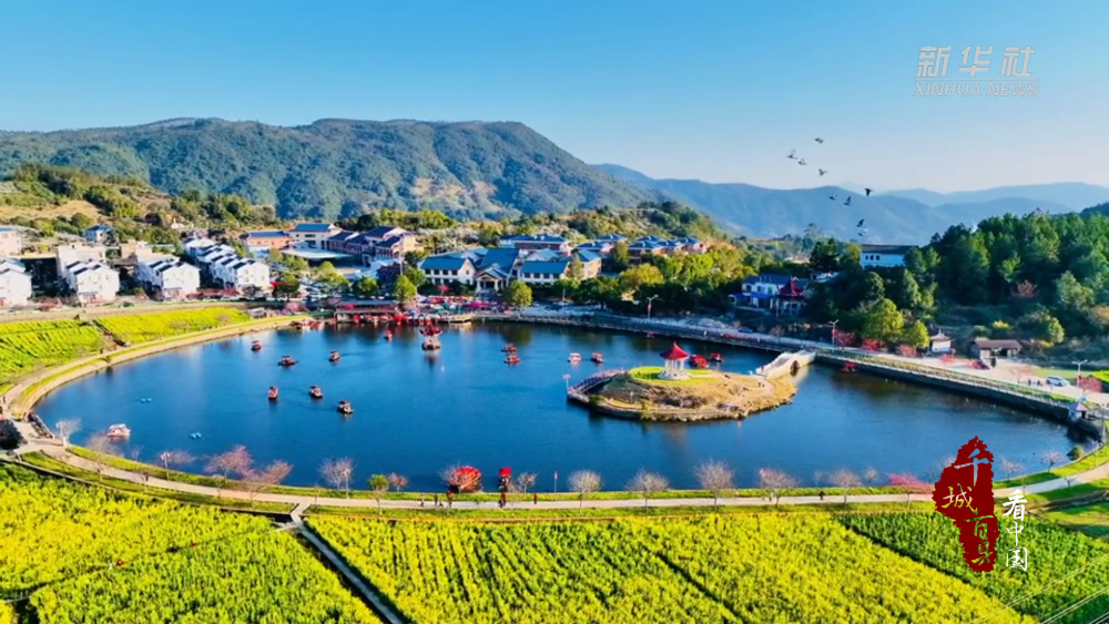 千城百县看中国福建莆田春花灿烂惹人醉