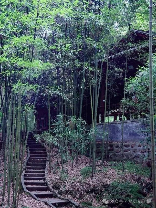 位于都江堰蒲阳的竹海洞天,各种人文景观与自然景观相映成趣9797