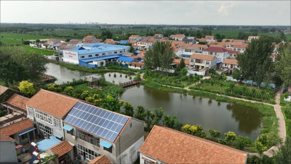 鱼台县王鲁镇省级衔接乡村振兴集中推进区生机焕发