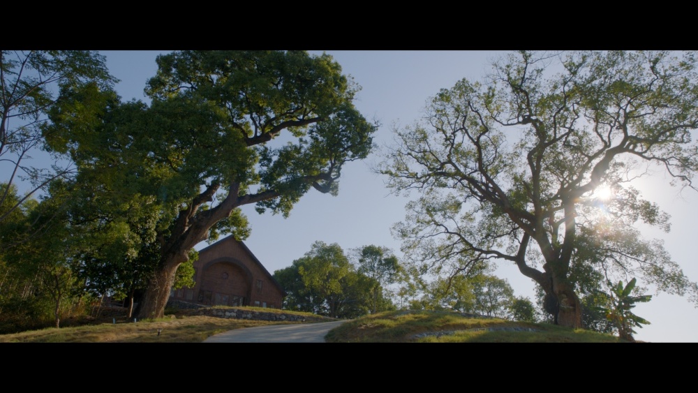 纪录电影《同学们》亮相广东电影推介会,再现烽火中岭南教育火种延续
