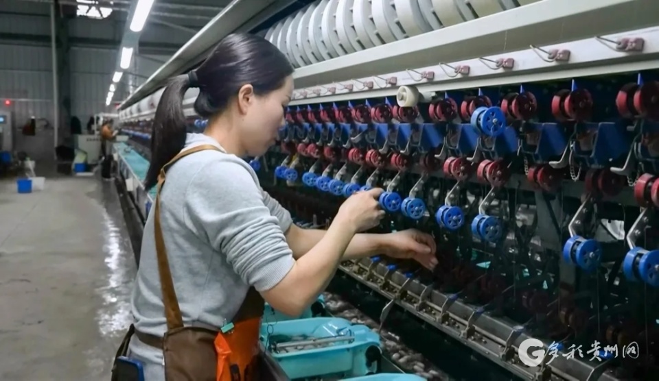 【融媒体中心新闻播报】遵义凤冈:"抽丝剥茧"编织致富路