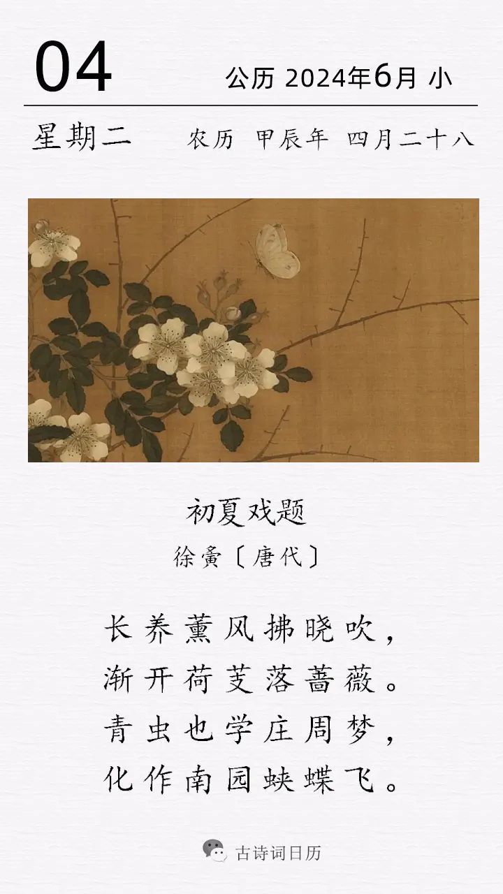 当悠悠的南风拂过面庞,当青蛙在池塘发出阵阵吟唱,当荷花长出了碧绿的