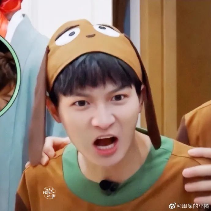 周深·寻音觅深丨猜你想搜:周深小动物造型_腾讯新闻