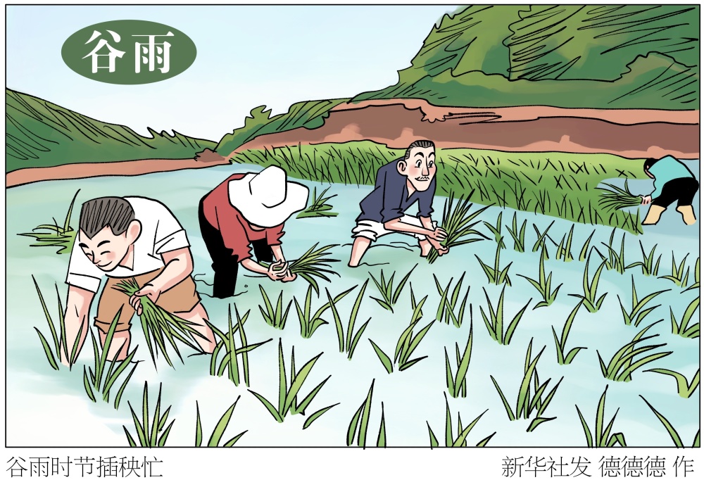 二十四节气谷雨丨谷雨时节插秧忙