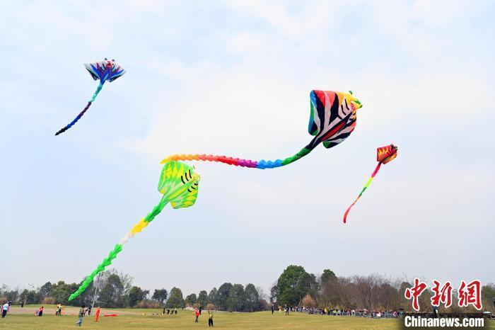 2024四川·崇州国际风筝邀请赛开赛_腾讯新闻