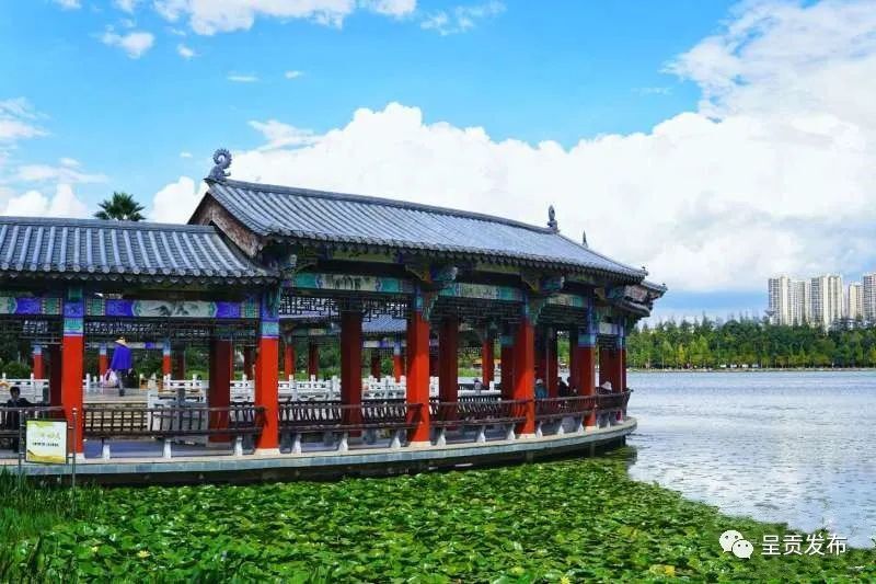 今天,小编带大家一起漫步呈贡洛龙公园是首个全国生态日今年的8月15