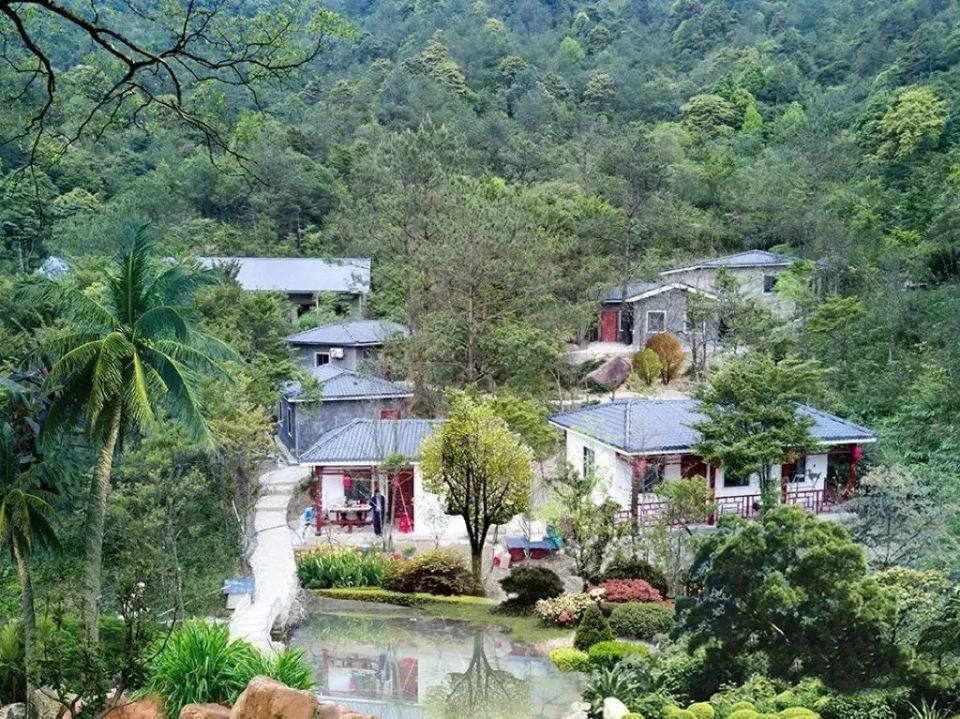 【遇见春茶】高鼎茶庄园:享受美景与香茗的双重治愈