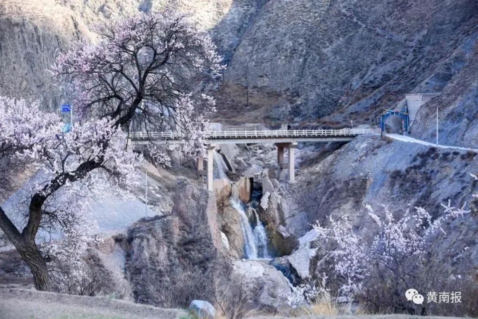 云览黄南 | 青春瀑布:从雪山走来向大海奔去