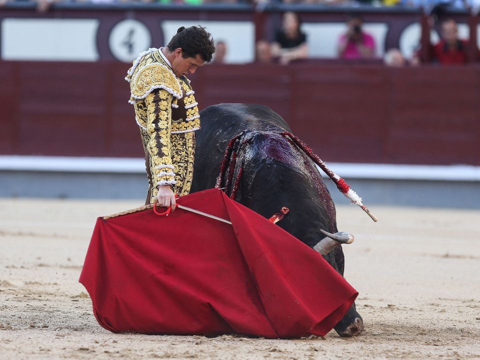 西班牙:斗牛表演