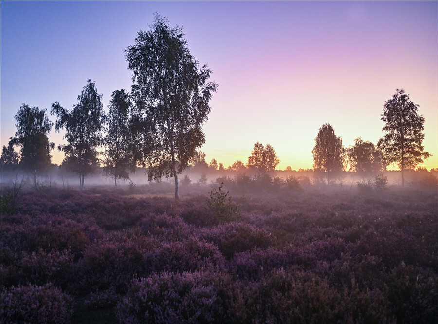 德国勃兰登堡自然保护区风光旖旎