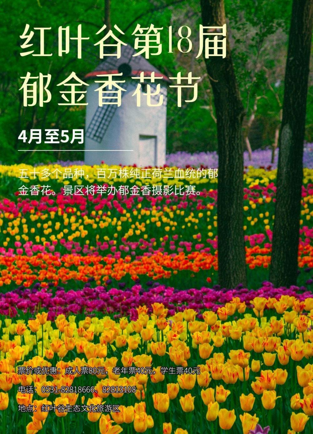 钢城区的桃花节,杏花节,梨花节,还有紫缘香草园大地艺术节,长清区文昌