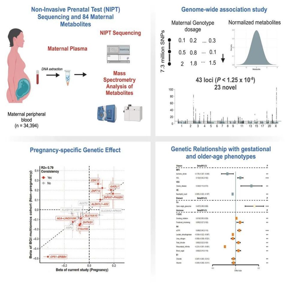 怎么鉴定呼吸套装真伪关乎母婴健康刻不容缓 ｜ Cell Genomics无创产前检测特刊_https://www.jmylbn.com_新闻资讯_第10张