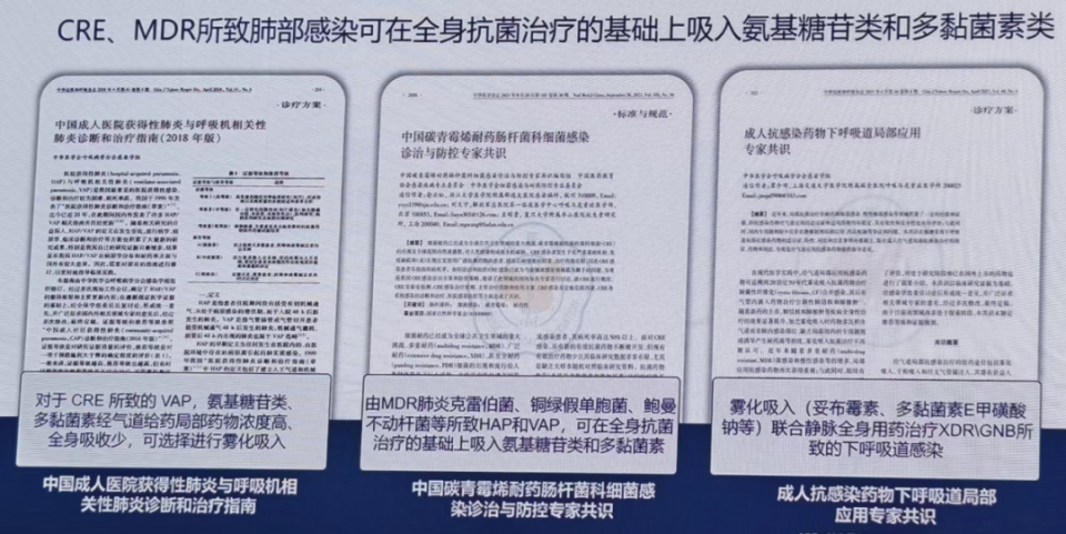 有创呼吸机怎么做雾化治疗下呼吸道铜绿假单胞菌感染，吸入抗菌药物怎么用？_https://www.jmylbn.com_新闻资讯_第4张