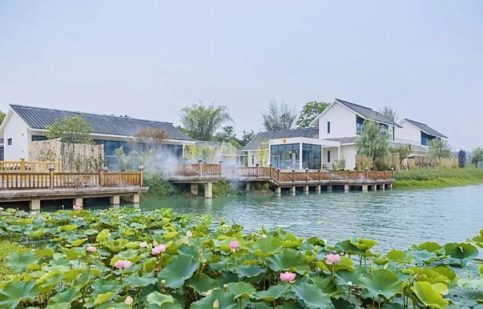 提前预订!龙舟赛住宿指南来啦