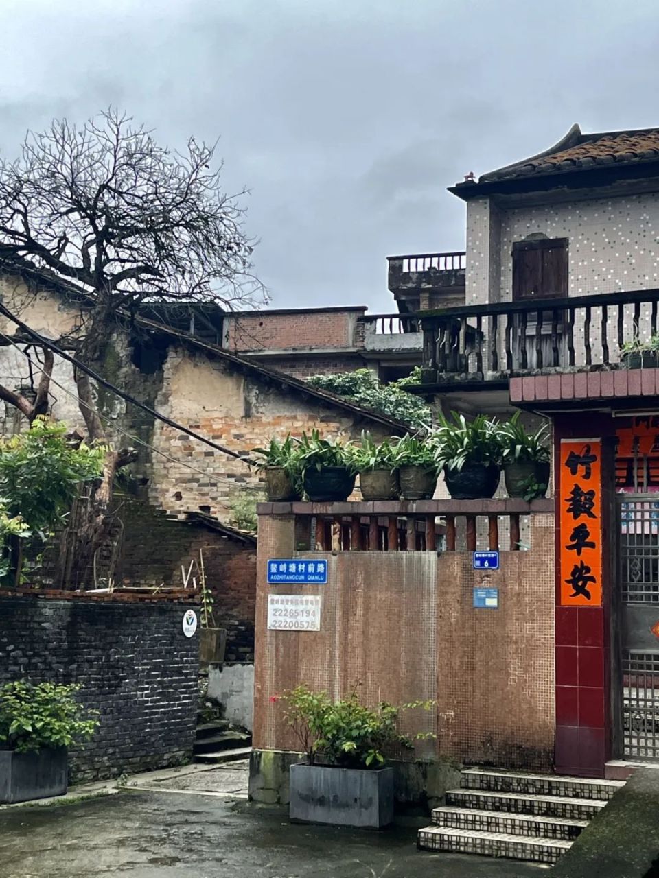 近千年历史,东莞这个有山有水的「谧静村落」,除了美,还有这些故事